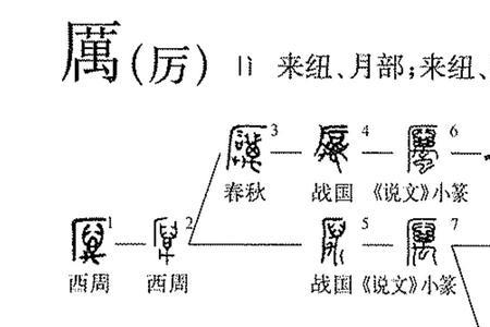 严厉的厉 的形近字