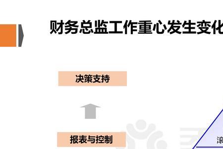 财务总监与分管财务副总的区别