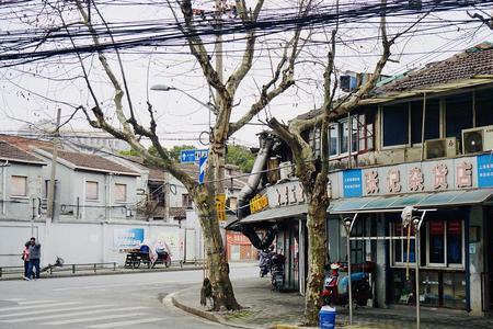 上海最短的十条马路