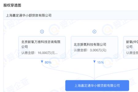 怎么查公司持股比例