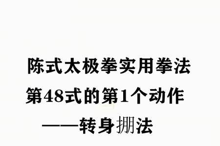 48式太极拳穿掌下势