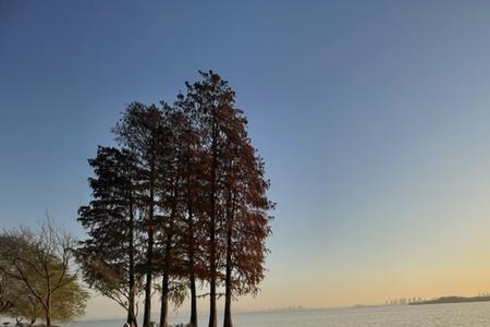 汤逊湖为什么叫汤逊湖