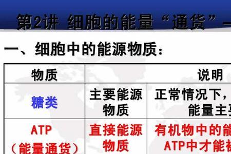 ATP中的N元素在什么位置生物