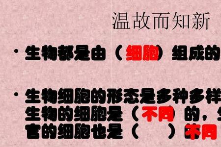 六年级科学鸡蛋是细胞吗