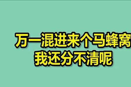 马蜂窝上白色的是什么