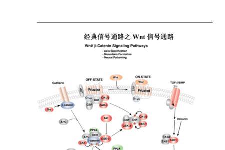 用什么方法找信号通路