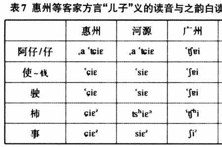 桷子是什么意思