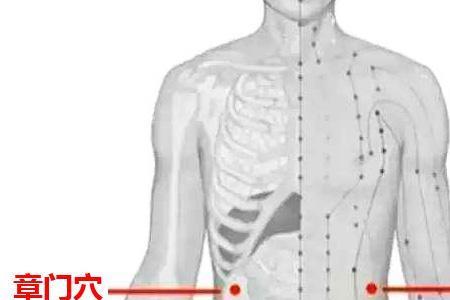 章门天枢位置