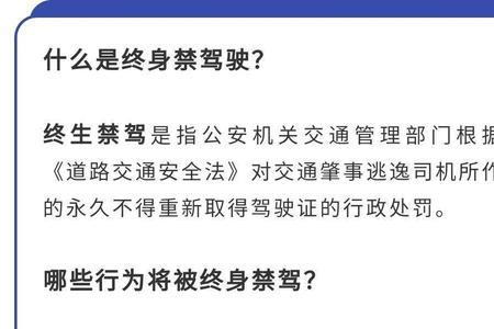 终身禁驾和终生禁驾的区别