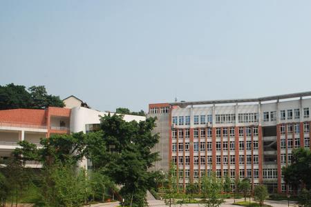 sui什么学校