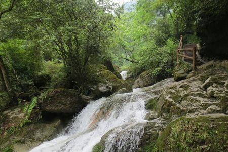 青城山后山开车能开到哪个位置