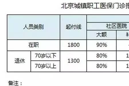 年度医保范围内什么意思