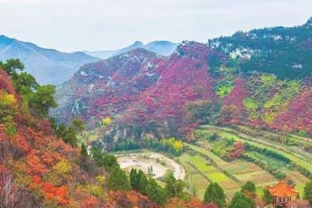 济南凤凰山山集时间