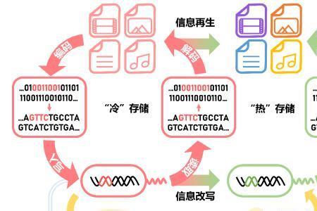 DNA怎么保存