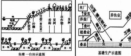 坑塘和水田的区别