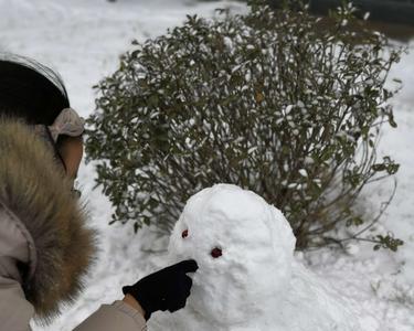 堆雪人的堆什么意思