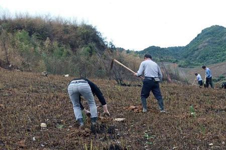 农村整地几月份