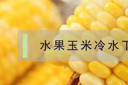 水果玉米可以冷冻保存吗