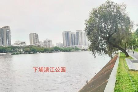 东江沙公园开放吗