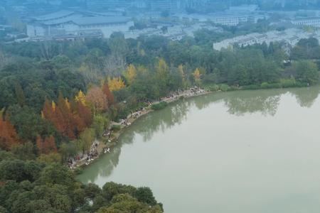 成都浣花溪公园跑步路线