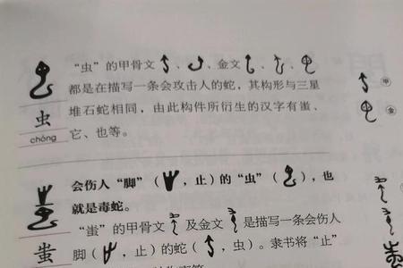 虫和活组什么字