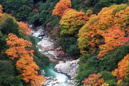 光雾山和桃源景区哪个好玩