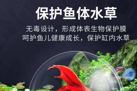 养鱼自来水除氯的最快十种方法