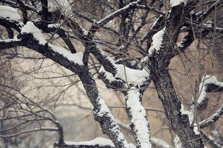 你那里下雪了吗