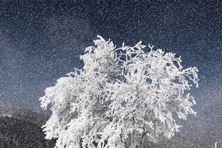 雪花纷纷成语理解