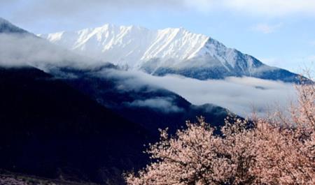 林芝的气候特点属于什么类型