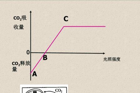 自然光照强度多少为好