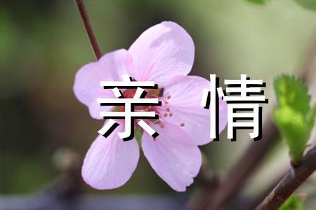 父母挚爱是什么意思