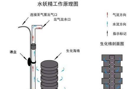 水妖精会吸入底砂吗