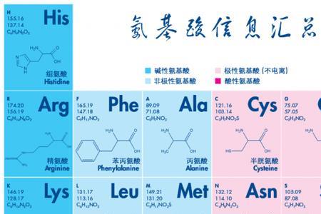 碳基生物名字