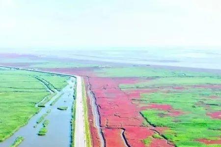 盘锦红海滩受洪水影响吗