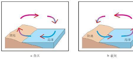 中午吹湖风还是陆风