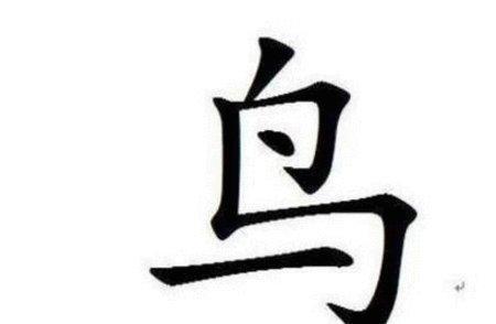 鸟字偏旁叫什么字