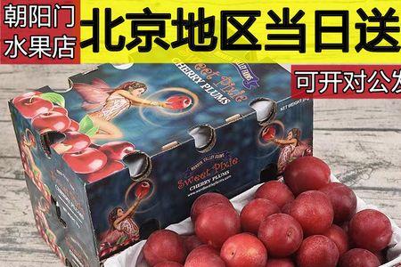 樱桃李有几个品种