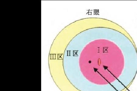 视网膜向对侧空间投射原理