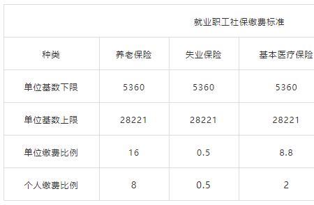 上海市医保中人和新人区别