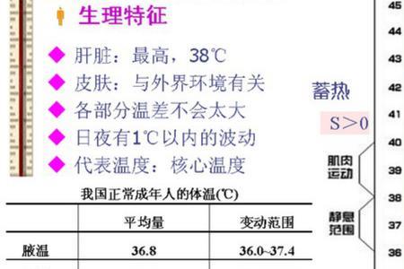 人体能感受到多少温度