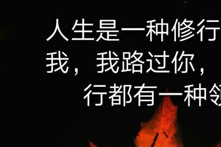 人生照片是什么意思