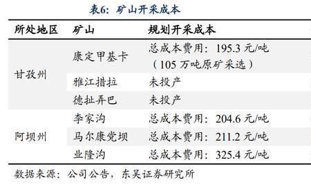 金辉锂业属于哪个上市公司