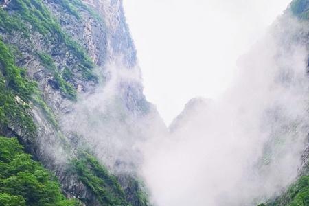 天门山门票278包含哪些景点