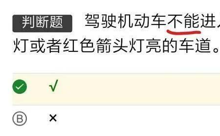 科目一死记四个字能考100分