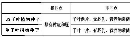 种子的相同点和不同点