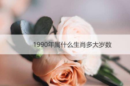 2022年农历冬月初四属什么