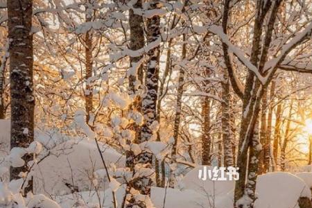 雪花拥抱阳光是什么意思