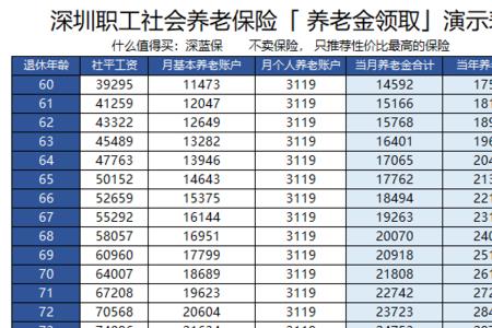 离退休账户总金额是什么意思