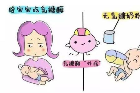 母乳含乳糖多还是奶粉含乳糖多